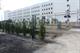 Figure 5. Example of pedestrian channelization using landscaping in West Palm Beach, FL Image Credit: Volpe Center